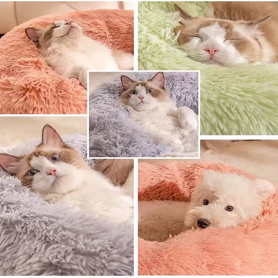 Lit "Beignet" Apaisant pour Chien et Chat