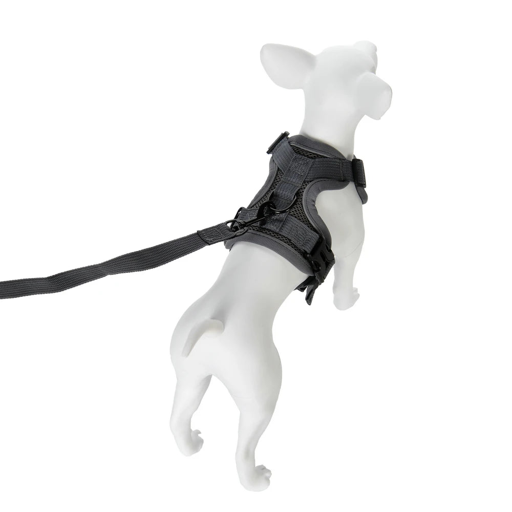 Ensemble Harnais et Laisse pour Petit Chien & Chat