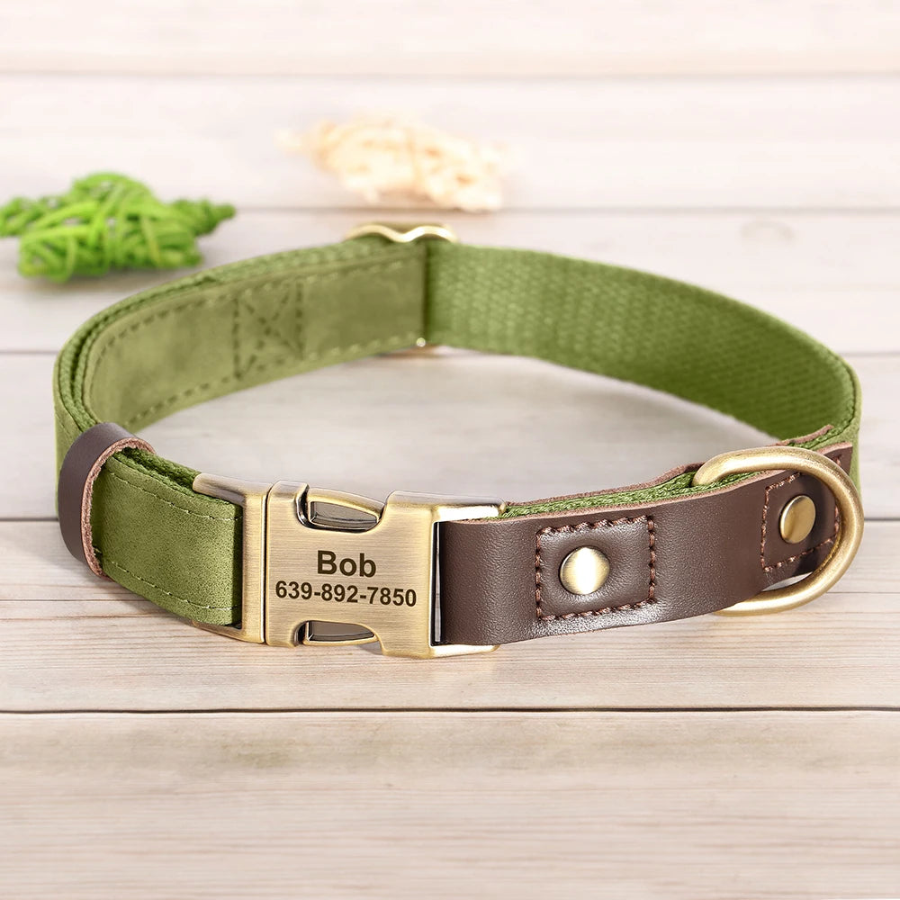 Collier pour Chien Personnalisé en Cuir PU