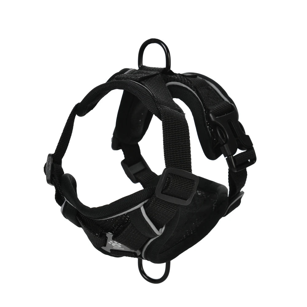 Ensemble Harnais et Laisse pour Petit Chien & Chat