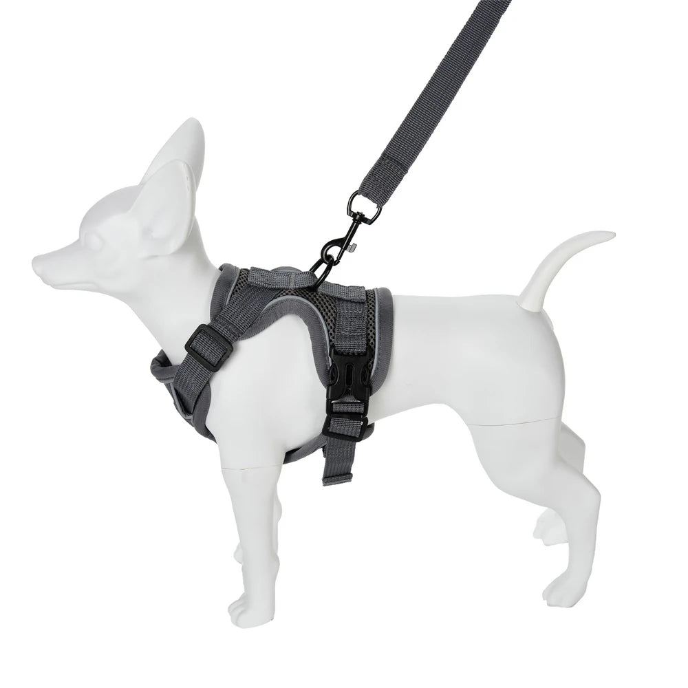 Ensemble Harnais et Laisse pour Petit Chien & Chat