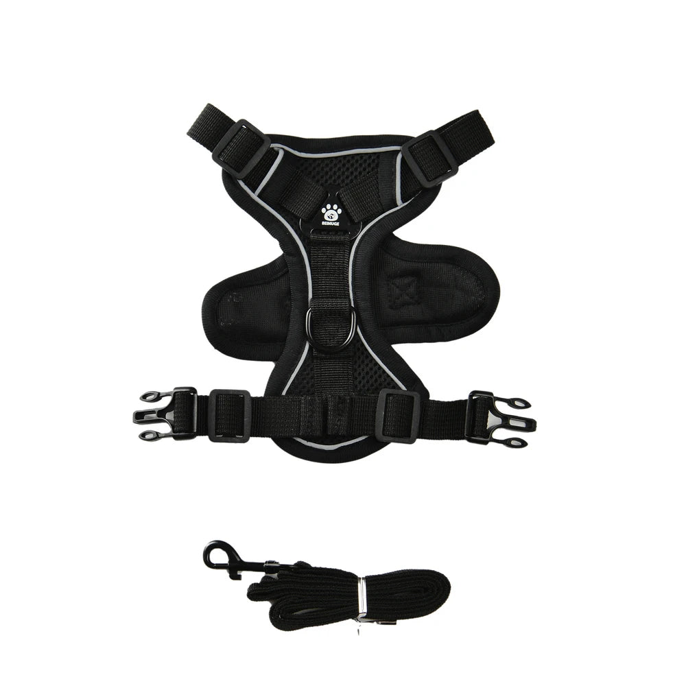 Ensemble Harnais et Laisse pour Petit Chien & Chat