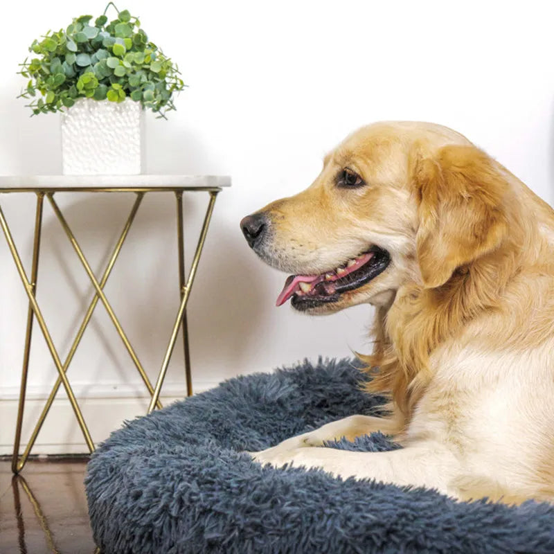 Lit Apaisant en Peluche Super Douce pour Chien et Chat