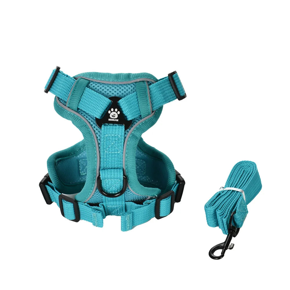 Ensemble Harnais et Laisse pour Petit Chien & Chat