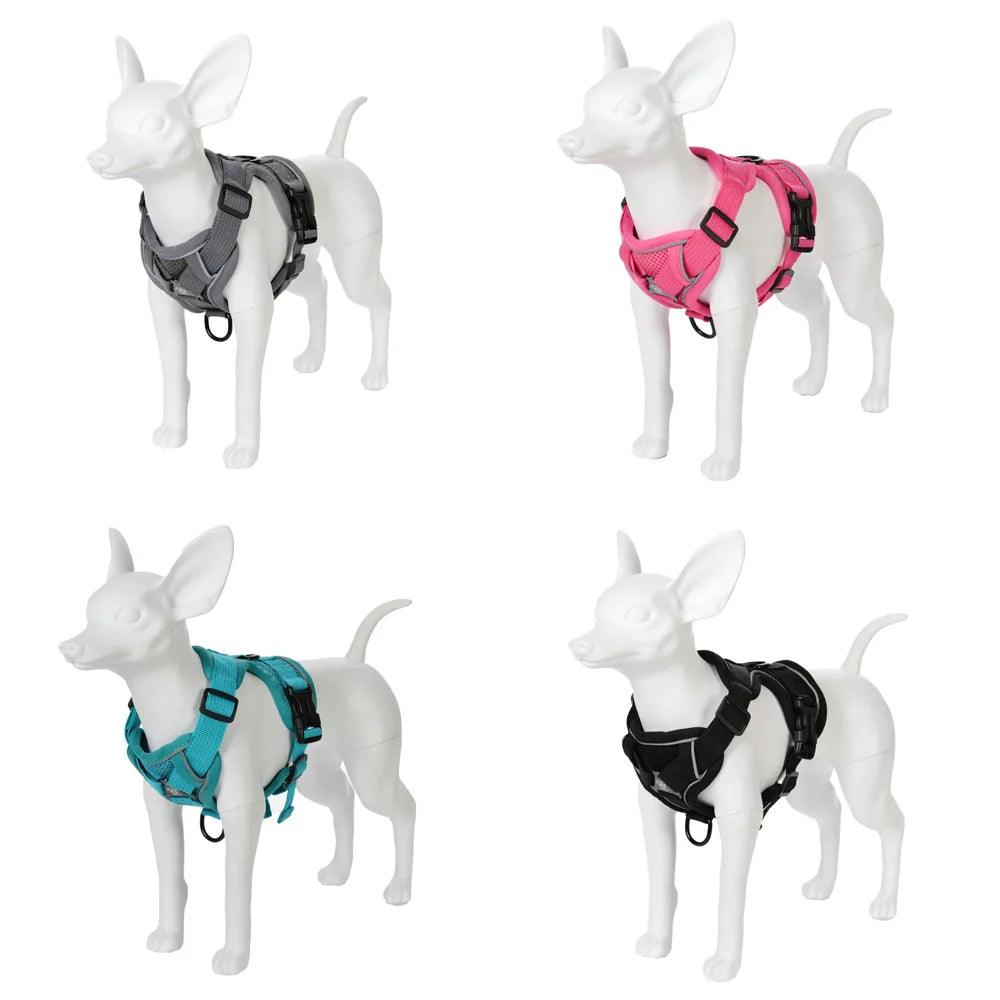 Ensemble Harnais et Laisse pour Petit Chien & Chat