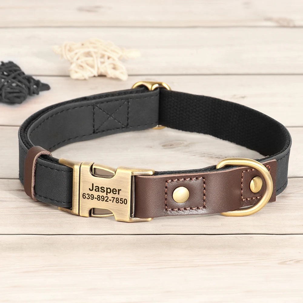 Collier pour Chien Personnalisé en Cuir PU