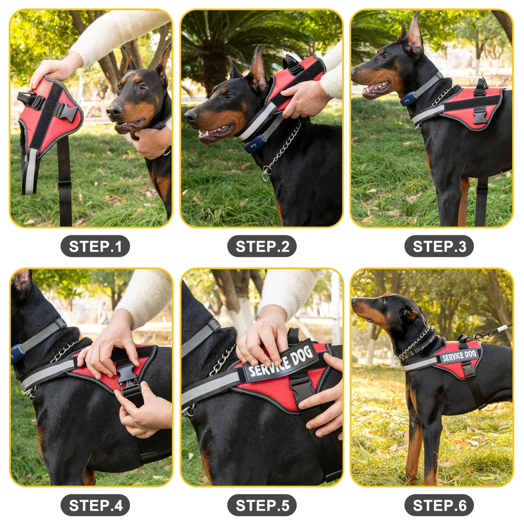 Harnais Chien Anti-Traction & Anti-Déflagrant