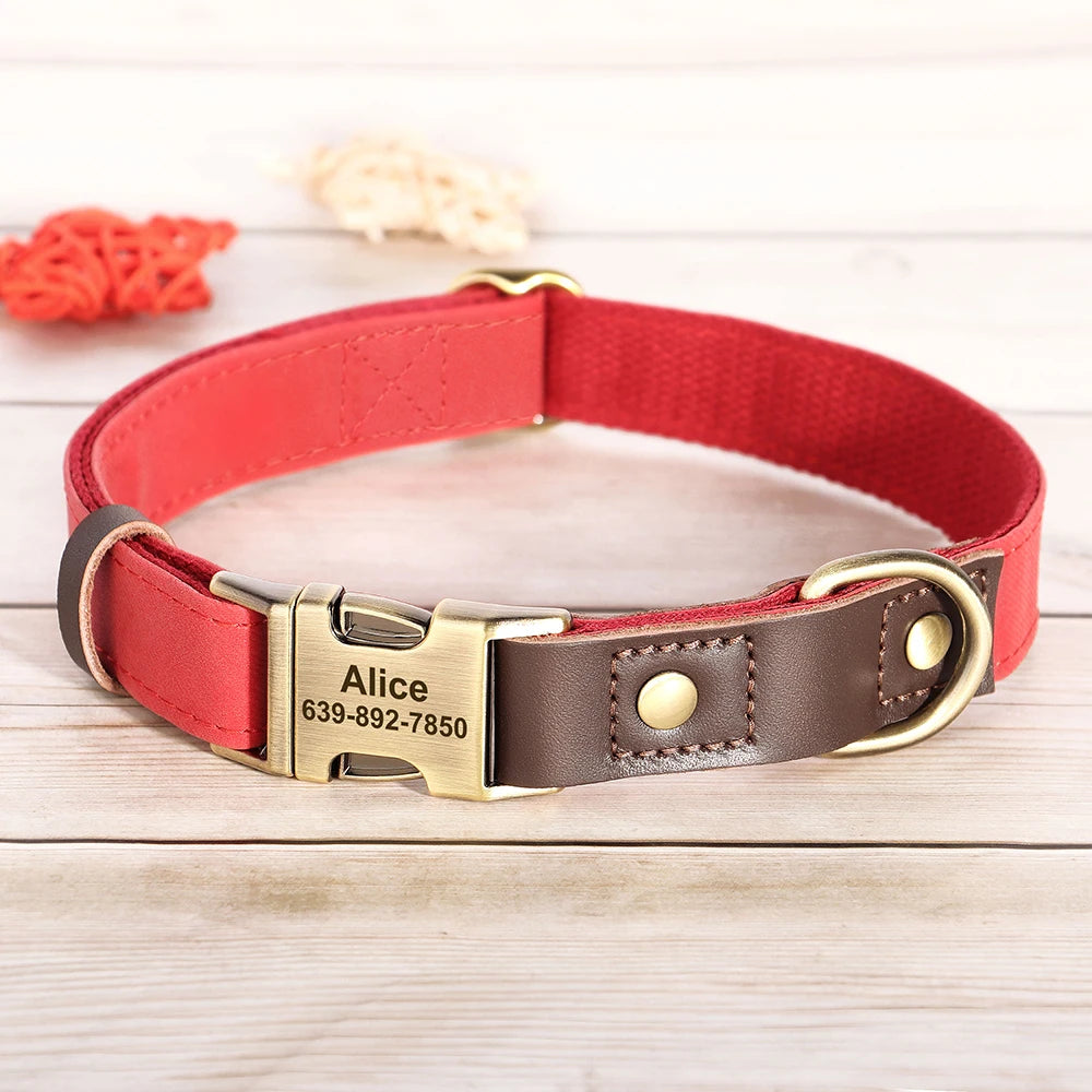 Collier pour Chien Personnalisé en Cuir PU