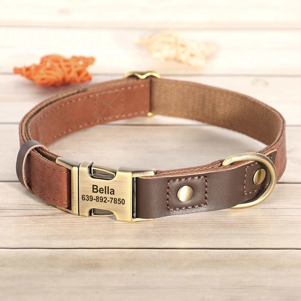 Collier pour Chien Personnalisé en Cuir PU