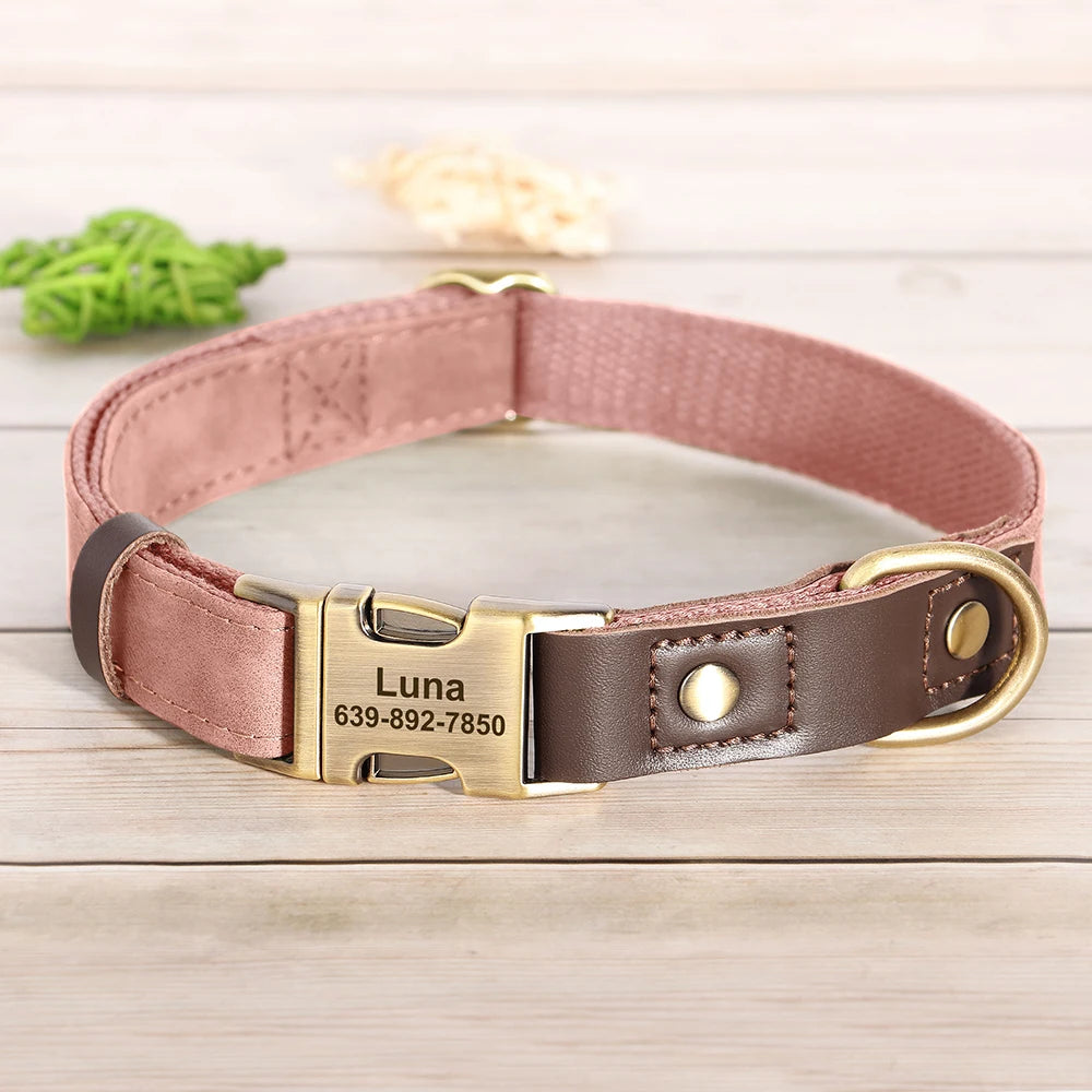 Collier pour Chien Personnalisé en Cuir PU