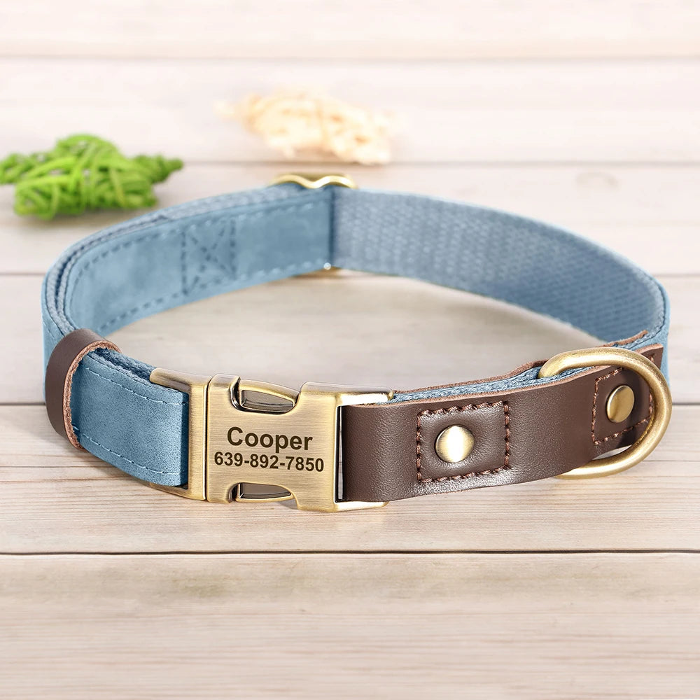Collier pour Chien Personnalisé en Cuir PU