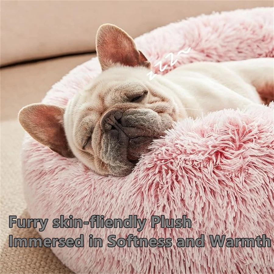 Lit "Beignet" Apaisant pour Chien et Chat