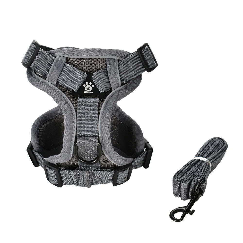 Ensemble Harnais et Laisse pour Petit Chien & Chat