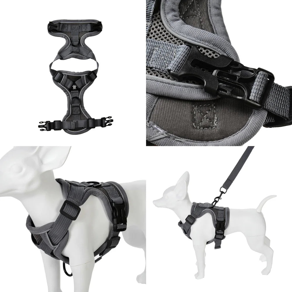 Ensemble Harnais et Laisse pour Petit Chien & Chat