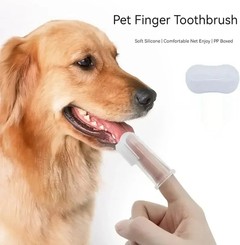 Brosse à Dents en Silicone Souple pour Chien et Chat