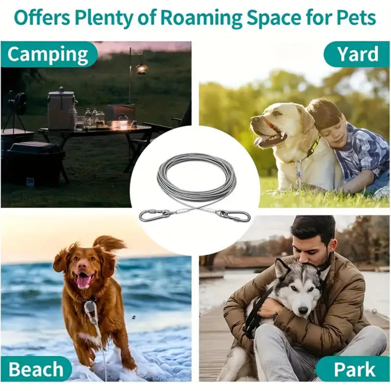 Câble d'Arrimage pour Chien Haute Résistance