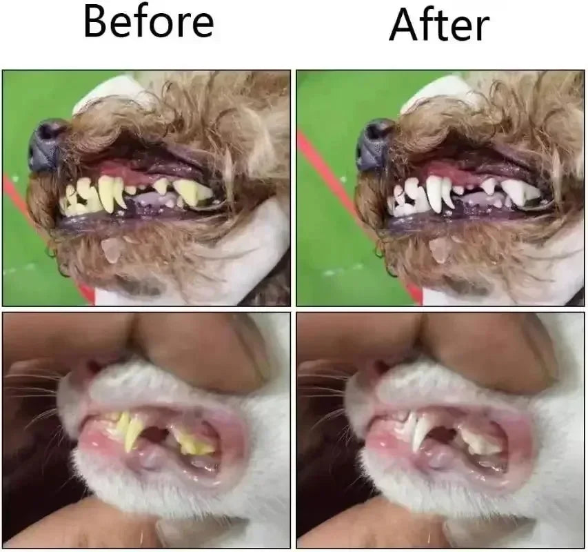 Brosse à Dents en Silicone Souple pour Chien et Chat