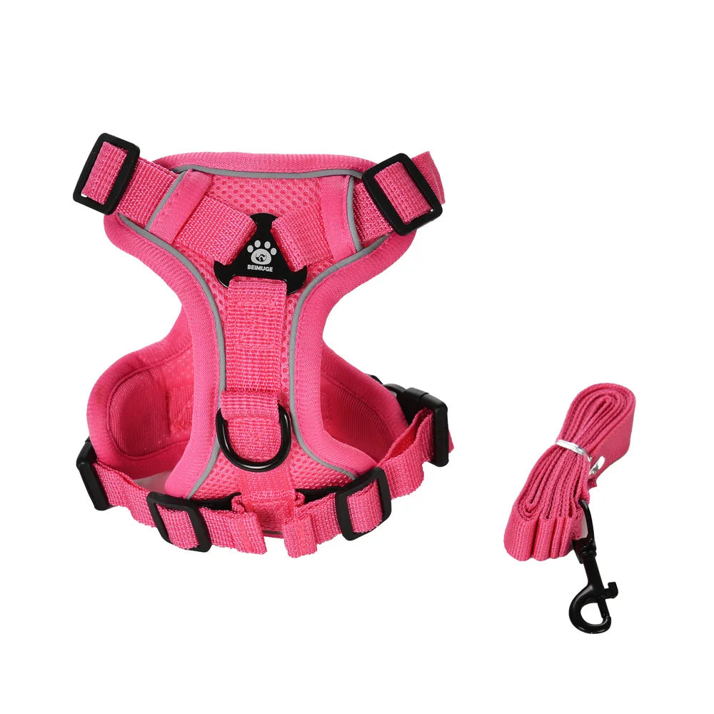 Ensemble Harnais et Laisse pour Petit Chien & Chat