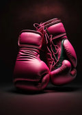 Affiche de Gants de Boxe Classiques