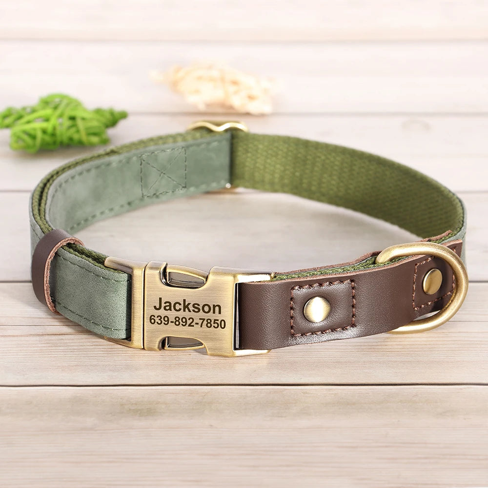 Collier pour Chien Personnalisé en Cuir PU