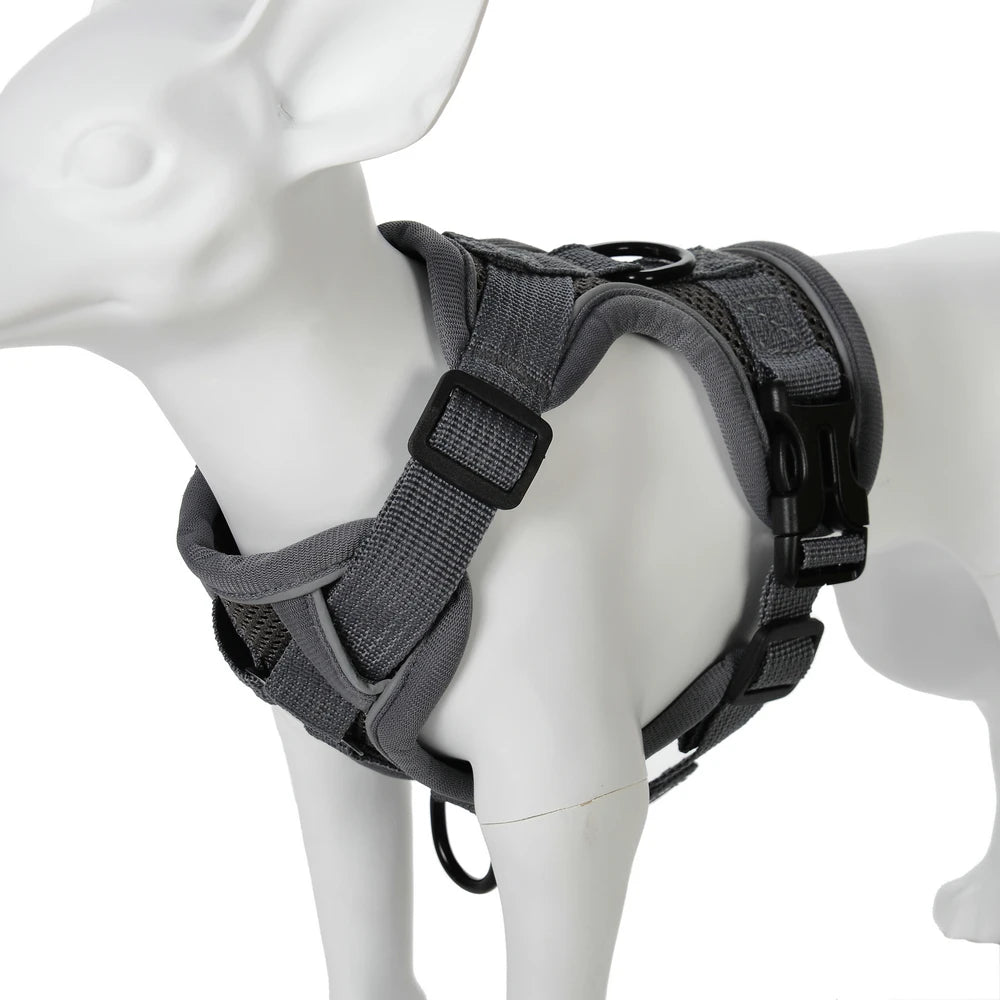 Ensemble Harnais et Laisse pour Petit Chien & Chat