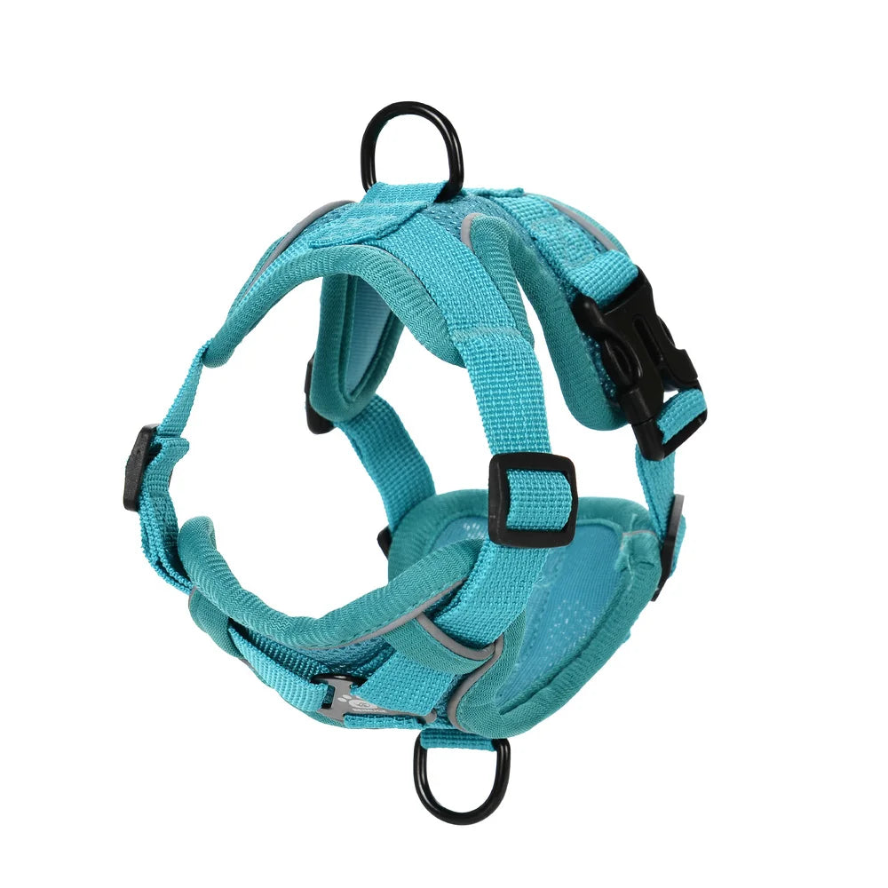 Ensemble Harnais et Laisse pour Petit Chien & Chat