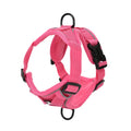Ensemble Harnais et Laisse pour Petit Chien & Chat