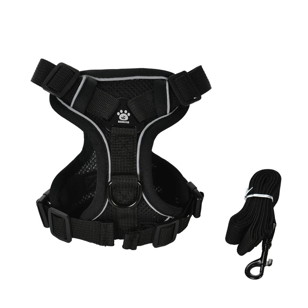 Ensemble Harnais et Laisse pour Petit Chien & Chat