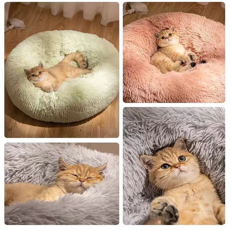 Lit "Beignet" Apaisant pour Chien et Chat