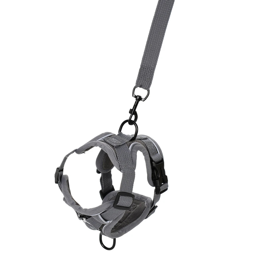 Ensemble Harnais et Laisse pour Petit Chien & Chat