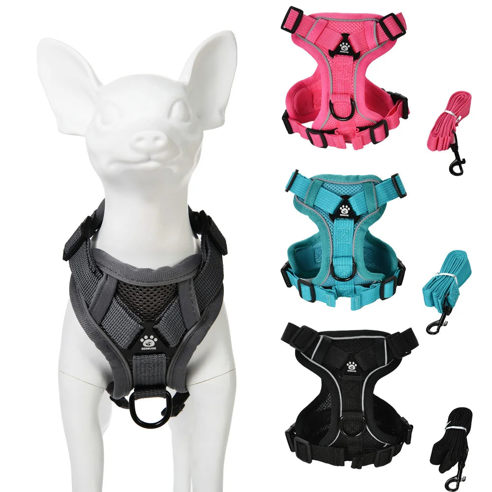 Ensemble Harnais et Laisse pour Petit Chien & Chat