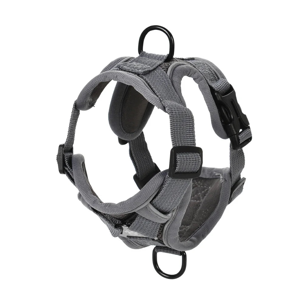 Ensemble Harnais et Laisse pour Petit Chien & Chat